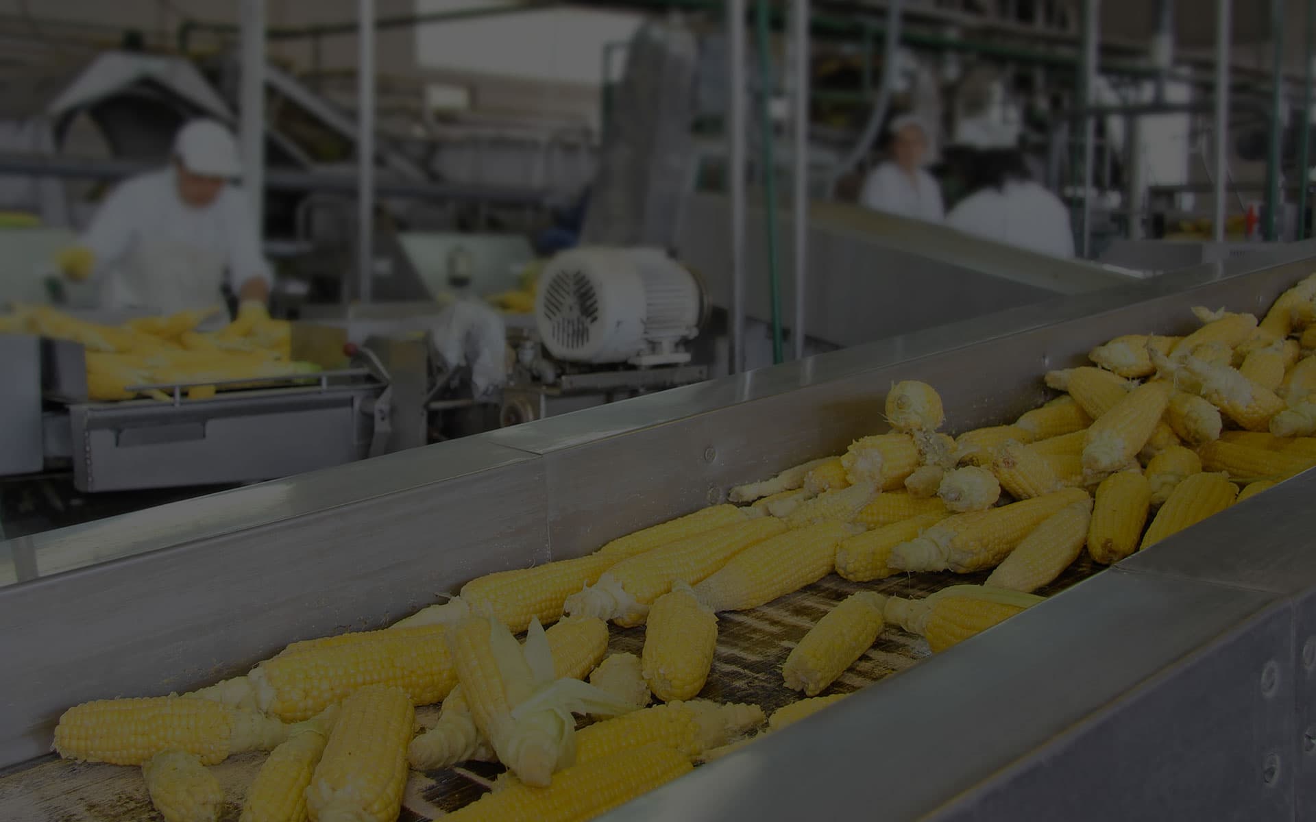 Milling Rice Processing