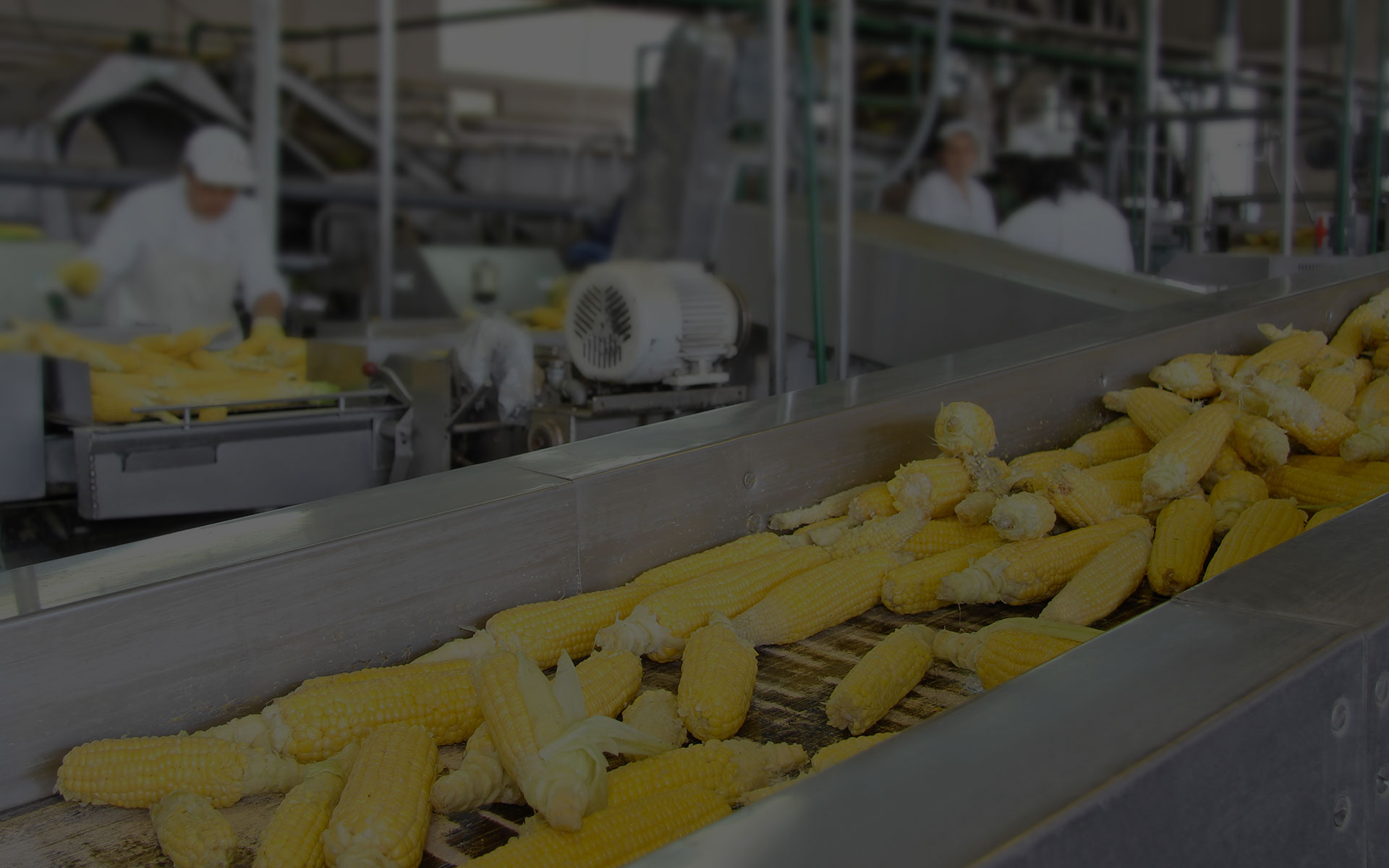 Milling Rice Processing